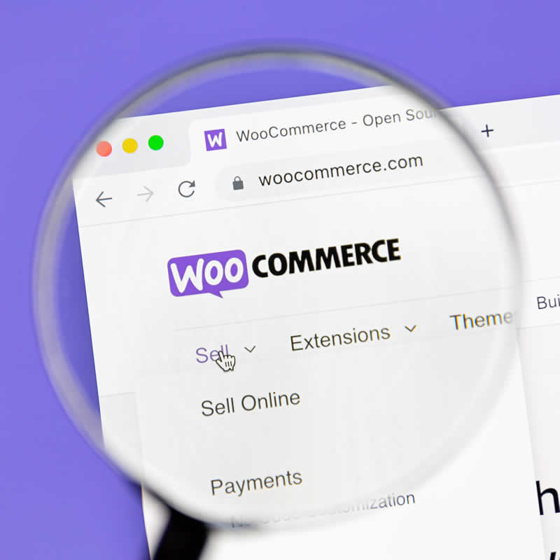 Sincronización de WooCommerce con ERP - Agarimo Comunicación