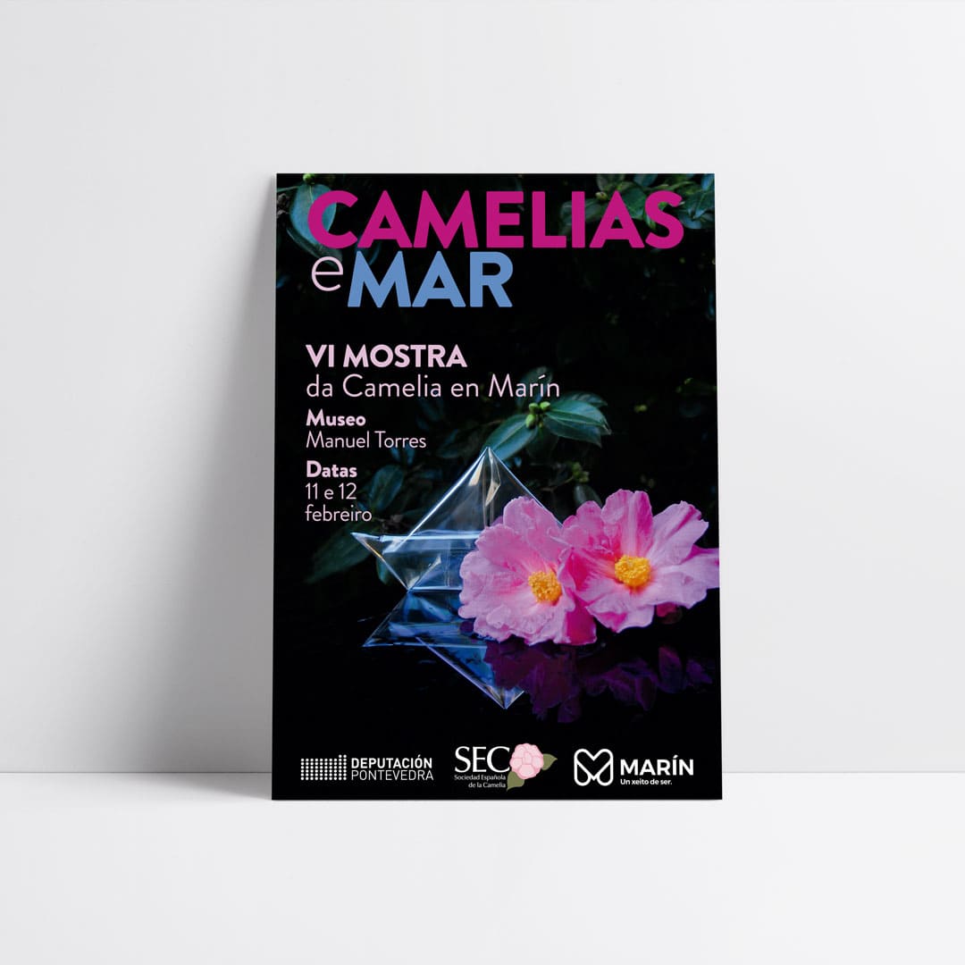 Diseño e impresión de cartelería para Camelias e Mar - Agarimo Comunicación